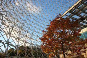 Biosphere - Buckminster Fuller