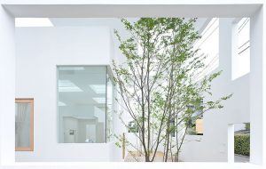 N Evi / Sou Fujimoto