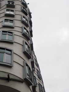 Dans Eden Ev - Frank Gehry & Vlado Milunic