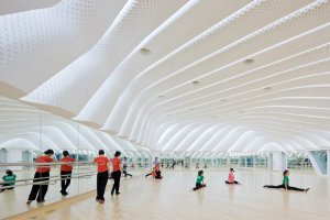 Guangzhou Opera Evi / Zaha Hadid