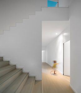 Texugueira Evi - Contaminar Arquitectos