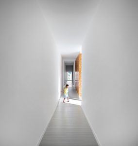 Texugueira Evi - Contaminar Arquitectos