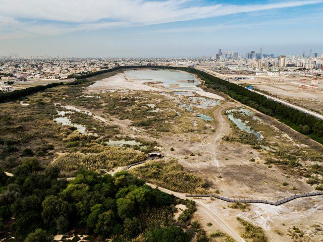 Wasit Doğal Koruma Alanı Ziyaretçi Merkezi - X Architects