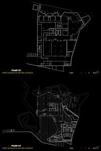 Perot Doğa ve Bilim Müzesi / Morphosis