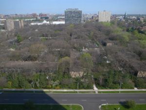 Lafayette Park - Mies van der Rohe