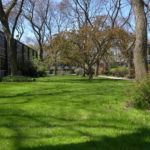 Lafayette Park - Mies van der Rohe