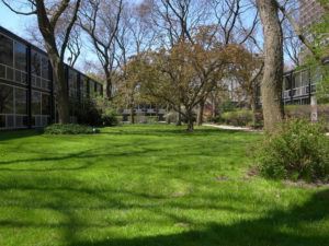 Lafayette Park - Mies van der Rohe