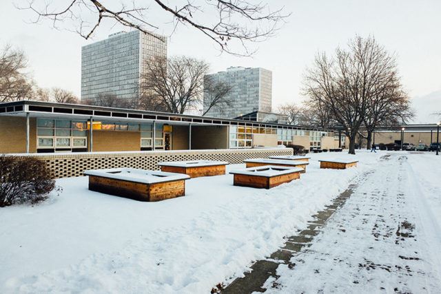 Lafayette Park - Mies van der Rohe