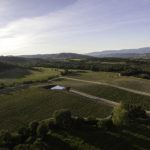 Chateau La Coste Sanat Galerisi / Renzo Piano