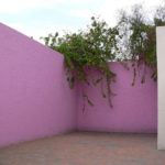 Barragan Evi / Luis Barragan