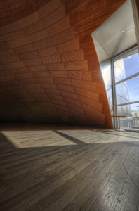 Walt Disney Konser Salonu - Frank Gehry