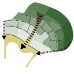 Swissotel Bodrum - Gökhan Avcıoğlu & GAD