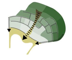 Swissotel Bodrum - Gökhan Avcıoğlu & GAD