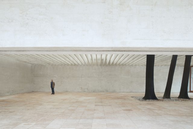 İskandinav Pavyonu - Sverre Fehn