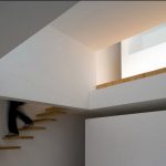 Tolo Evi - Alvaro Leite Siza