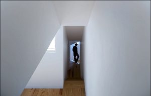 Tolo Evi - Alvaro Leite Siza