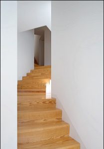 Tolo Evi - Alvaro Leite Siza