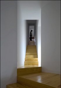 Tolo Evi - Alvaro Leite Siza