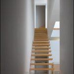 Tolo Evi - Alvaro Leite Siza