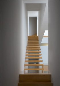 Tolo Evi - Alvaro Leite Siza