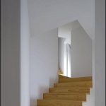 Tolo Evi - Alvaro Leite Siza