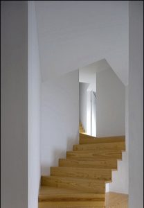 Tolo Evi - Alvaro Leite Siza