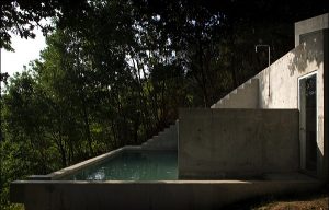 Tolo Evi - Alvaro Leite Siza