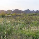 Skolkovo Bilim ve Teknoloji Enstitüsü - Herzog & de Meuron