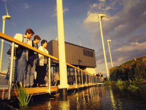 Expo 2000 Hollanda Pavyonu - MVRDV
