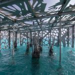 Coralarium / Jason Decaires Taylor