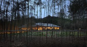 In Bamboo / Archi-Union Architects