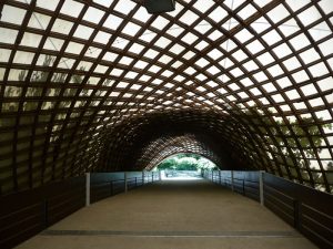 Mannheim Multihalle - Frei Otto