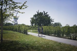 Vitra Kampüsü Promenad