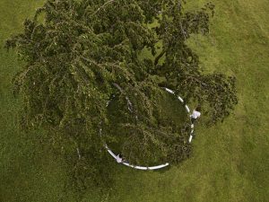 Vitra Kampüsü Ring and Ruisseau