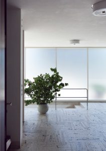 Tugendhat Evi (Villa Tugendhat) / Mies van der Rohe