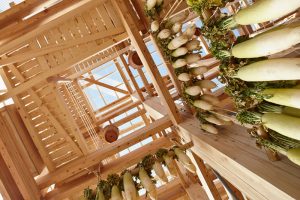 Nest We Grow / Kengo Kuma