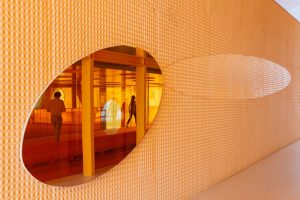 Plasencia Kongre Merkezi / SelgasCano