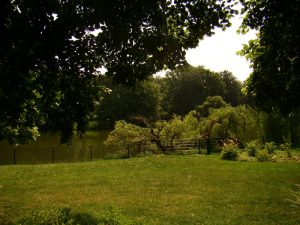 Lemke Evi (Landhaus Lemke) / Mies van der Rohe