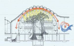 Kaliforniya Bilim Akademisi Müzesi / Renzo Piano + Stantec Architecture kesit