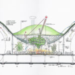 Kaliforniya Bilim Akademisi Müzesi / Renzo Piano + Stantec Architecture kesit