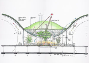 Kaliforniya Bilim Akademisi Müzesi / Renzo Piano + Stantec Architecture kesit