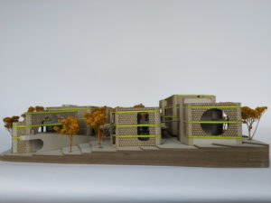 The Screen / Ediz Demirel