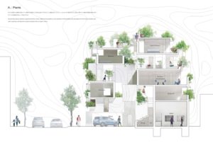 Tree-ness House / Akihisa Hirata