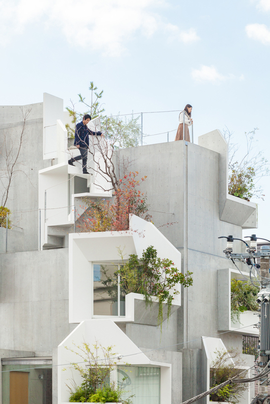 Tree-ness House / Akihisa Hirata