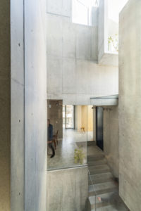 Tree-ness House / Akihisa Hirata