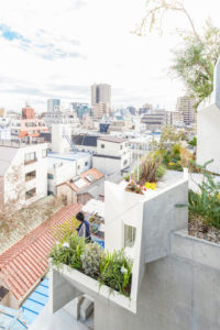 Tree-ness House / Akihisa Hirata