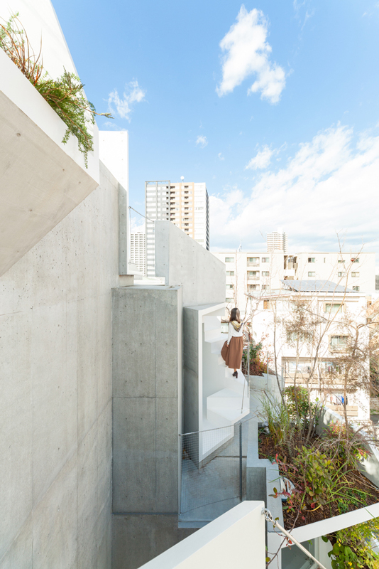 Tree-ness House / Akihisa Hirata