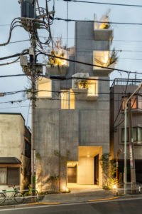 Tree-ness House / Akihisa Hirata