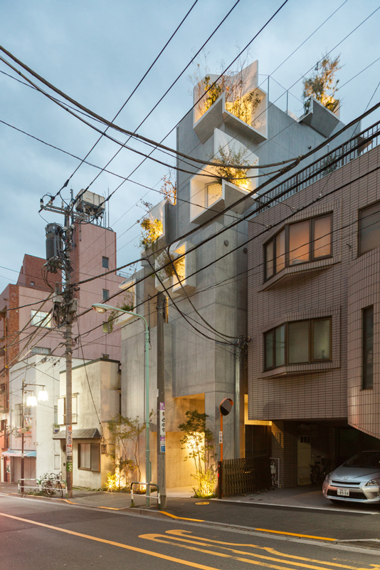 Tree-ness House / Akihisa Hirata