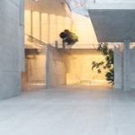 Tree-ness House / Akihisa Hirata